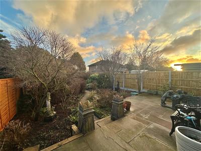 Picture 24